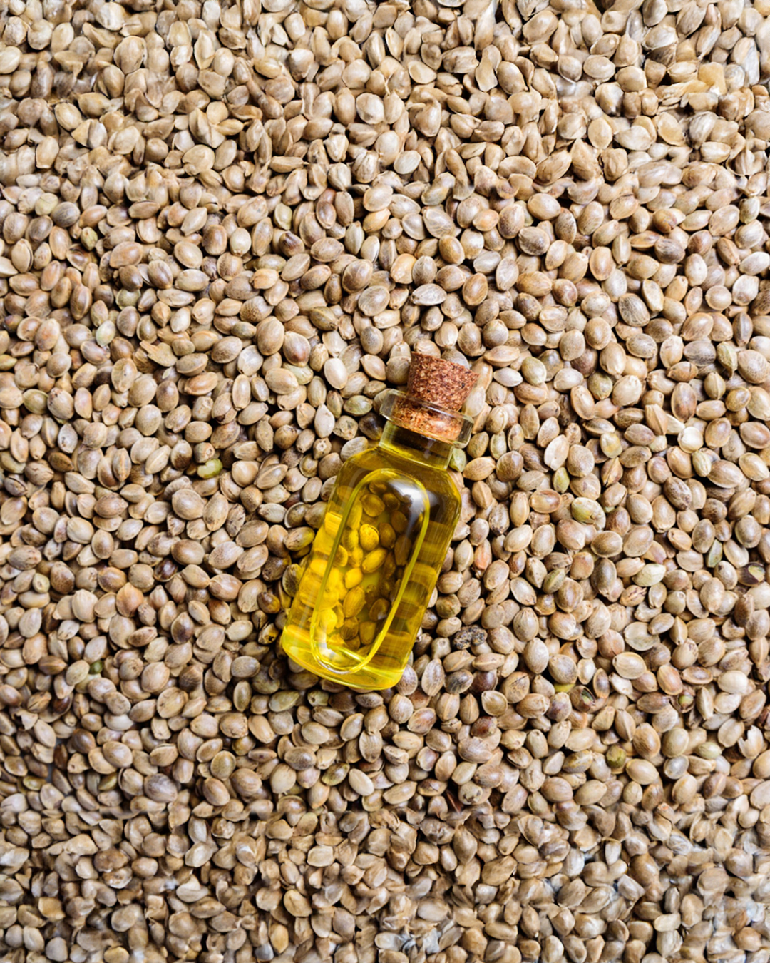 Hemp Seed - Hemp Seed Oil